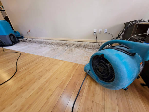 Professional Flood Damage Cleanup technician working in Riverton, IL